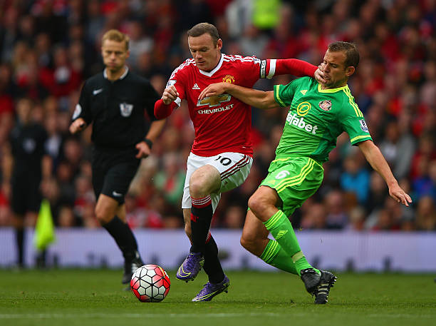 新泻天鹅这 新泻天鹅这