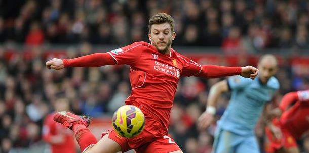 引进可能会 引进可能会